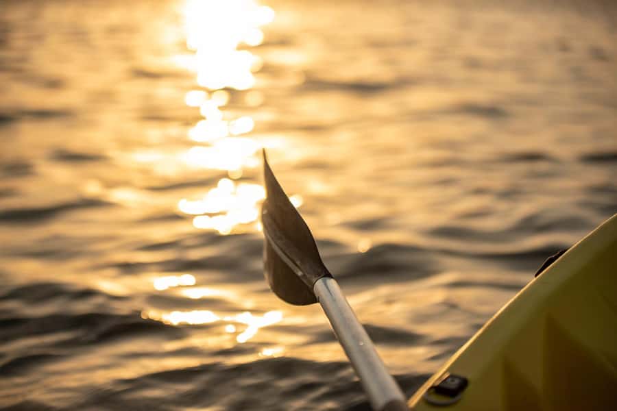 Dubai: Sunset/Night Dubai Creek Kayak Tour - Who this tour fits best, and who should skip it