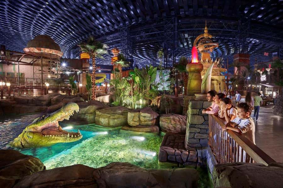 Dubai SuperSaver Pass - Aquariums and dolphin experiences, plus the “wet and wild” category