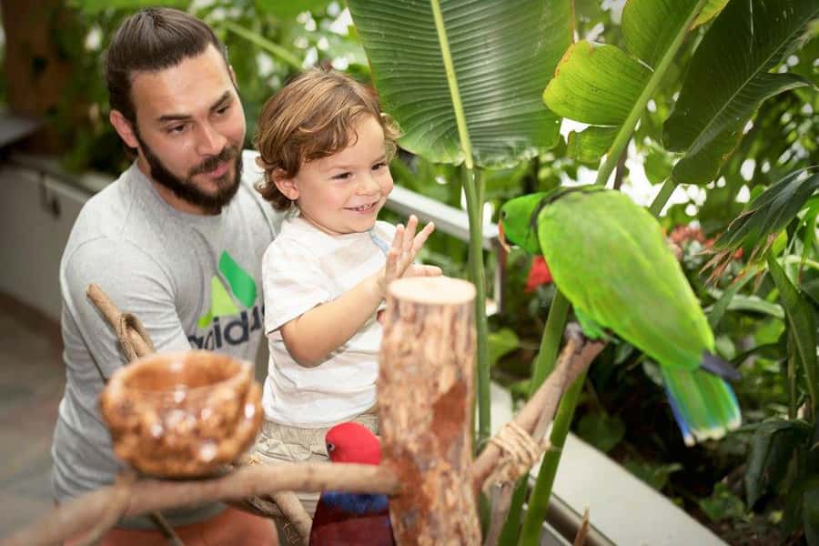 Dubai SuperSaver Pass - Family-friendly hits: KidZania, IMG Worlds of Adventure, Green Planet, iFly, and snow indoors