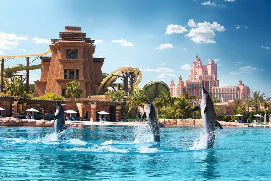 Dubai: Swim with Dolphins at Atlantis Waterpark - Atlas Village Check-In, then Straight to Dolphin Bay