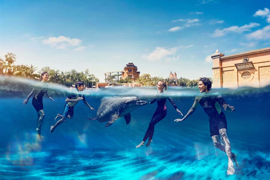 Dubai: Swim with Dolphins at Atlantis Waterpark - 30 Minutes in 3-Meter Deep Water: What Interaction Looks Like