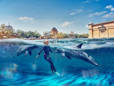 Swim with Dolphins at Atlantis Waterpark