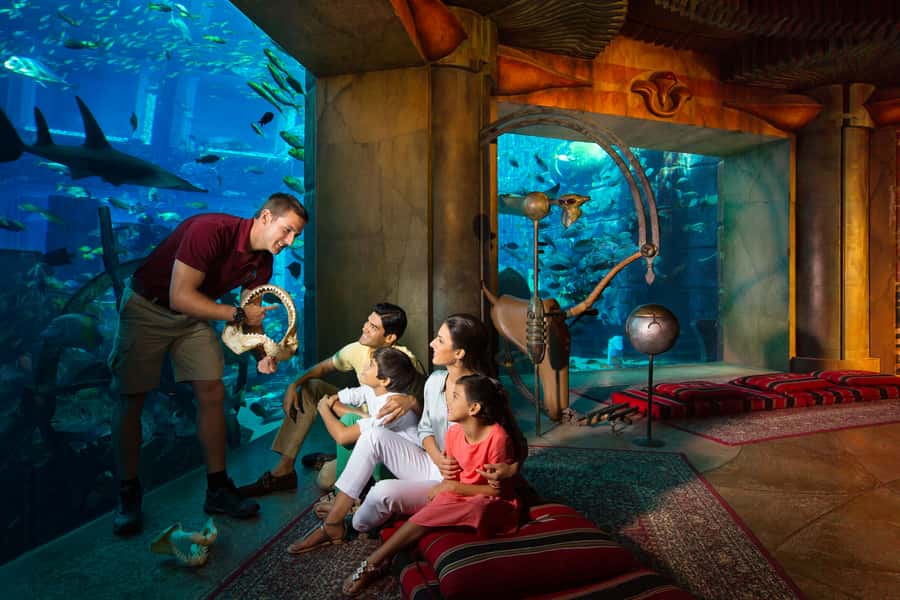 Dubai: The Lost Chambers Aquarium Atlantis Diving Experience - How the 1-to-1 instructor setup keeps you calm