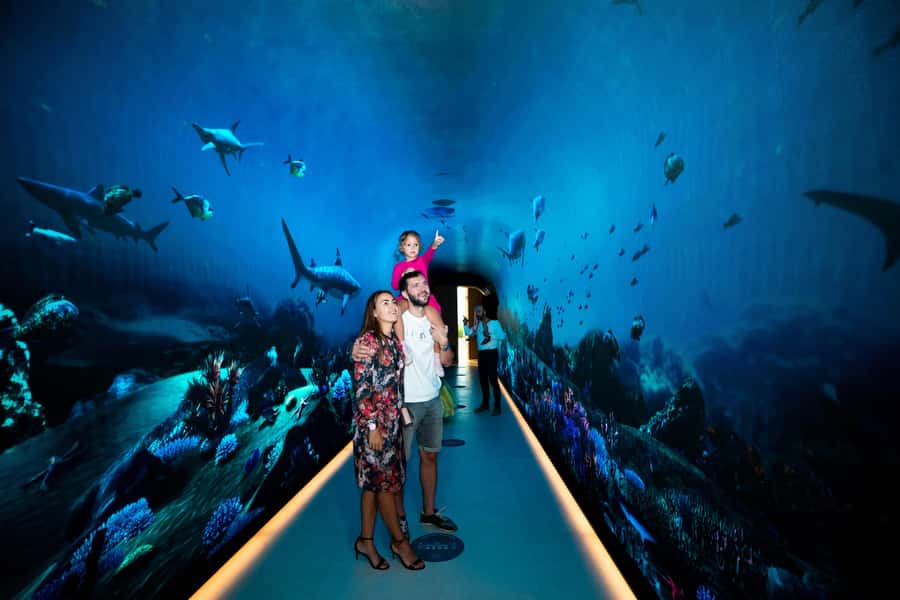 Dubai: The View At The Palm Observatory Entry Ticket - The “next level” decision: general admission vs skip-the-line vs VIP