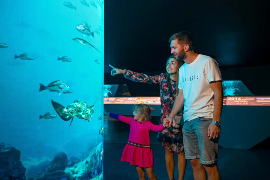 Dubai: The View At The Palm Observatory Entry Ticket - Timing tips that actually help