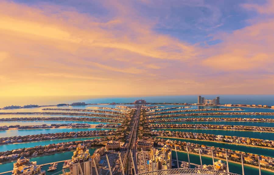 Dubai: The View At The Palm Observatory Entry Ticket - The View Exhibition: learning the Palm story before you look down