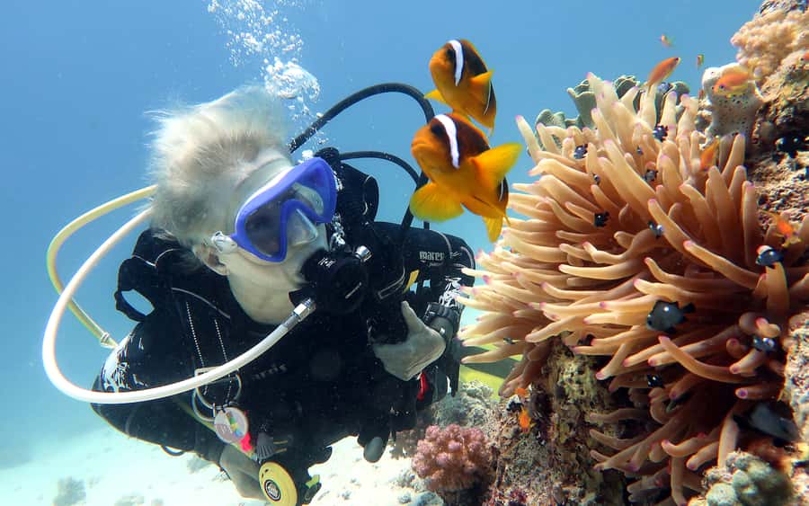 Dubai to Fujairah: First Scuba Diving + Transfer & BBQ - Key things I’d underline before you go
