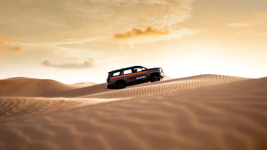 Dubai Waves & Dunes: Luxury Yacht Cruise w/ Red Dunes Safari - Guides make or break the day: what to watch for