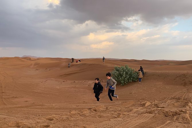 DUNE BASHING - Desert Safari, The Heartbeat of Dubai! - Value, Group Size, and Who This Safari Fits