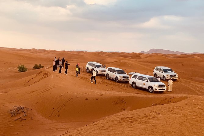 DUNE BASHING - Desert Safari, The Heartbeat of Dubai! - Should you book this Dubai Desert Safari?