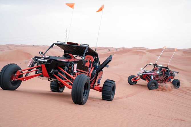 Dune Buggy Experience and Dinner at Mleiha Archaeological Center - Zerzura Camel Ride and Facilities: Start With Something Slower