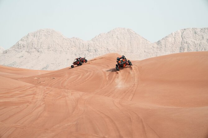 Dune Buggy Experience and Dinner at Mleiha Archaeological Center - Fossil Rock: The Stop That Adds Meaning