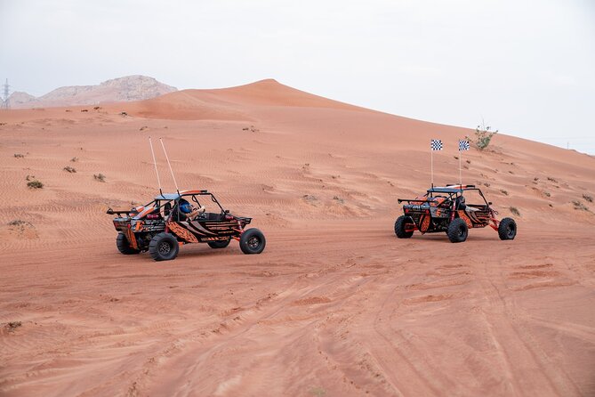 Dune Buggy Experience & Fossil Discovery in Mleiha National Park - Photography and video services for your dune moments