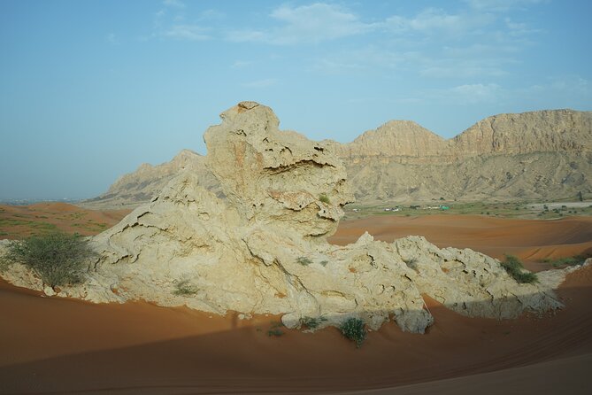 Dune Buggy & Private Dinner in the Dunes in Mleiha National Park - Pickup from Dubai: the value of not wrestling with transport