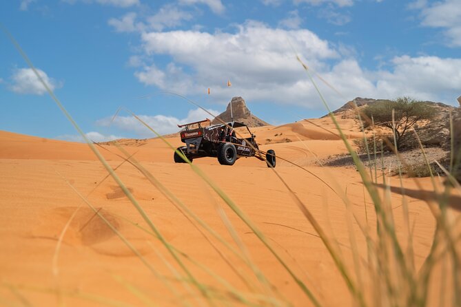 Dune Buggy & Private Dinner in the Dunes in Mleiha National Park - Price and logistics: does it feel like a good deal?