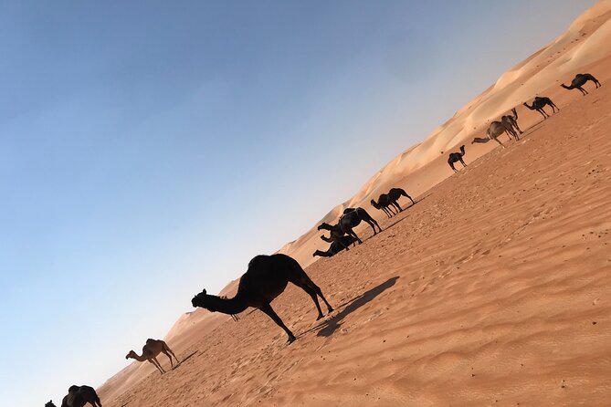 Empty Quarter Sunset Desert Safari - Sunset in the Rub Al Khali, not just another dune drive