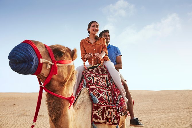 Evening Abu Dhabi Desert Safari & BBQ Dinner- Standard Tour - Key Highlights You Should Know