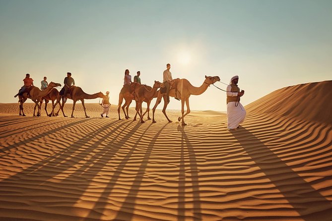 Evening Desert Safari Abu Dhabi - Camel Farm Stop and Camel Riding at Sunset
