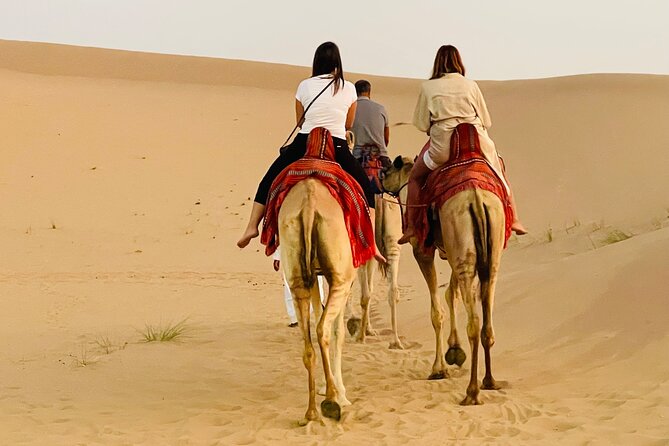 Evening Desert Safari Abu Dhabi with BBQ Dinner & Shows - Traditional touches that make the camp feel like a real experience