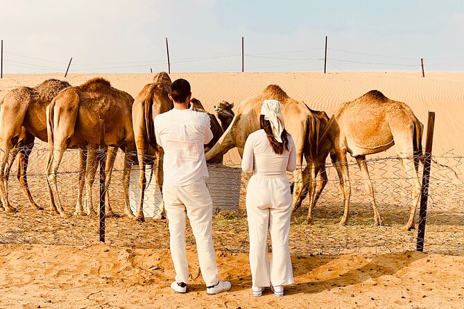 Evening Desert Safari Abu Dhabi with BBQ Dinner & Shows - Price and value: what $80.95 buys you in an all-in-one evening