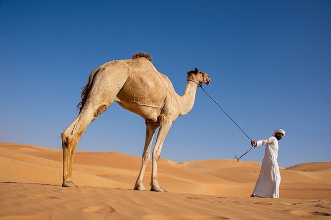 Evening Desert Safari Abu Dhabi with BBQ Dinner & Shows - The small details that can make or break your evening