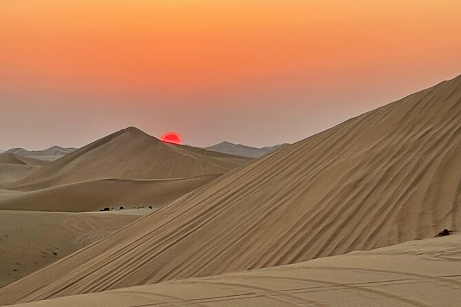 Evening Desert Safari Abu Dhabi with BBQ Dinner & Shows - Who should book this desert safari (and who might not)