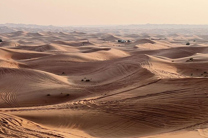 Evening Desert Safari Abu Dhabi with Dinner - Who should book this safari with dinner, and who should skip it