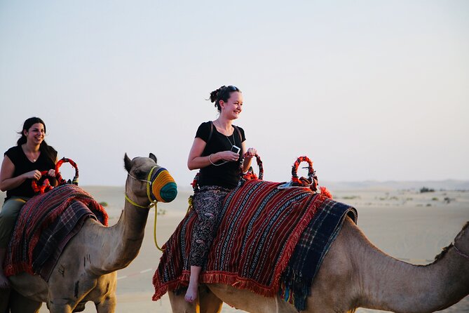 Evening Desert Safari Abu Dhabi with Hot BBQ Dinner - Price and value: what $65 buys you in practice
