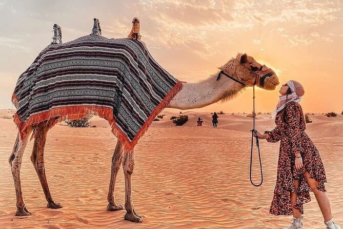 Evening Desert Safari & BBQ With Live Shows,Camel Ride,Falcon pic - Al Awir premium desert camp: Arabic welcome, henna, attire, and shisha