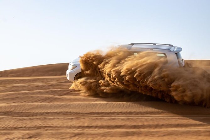Evening Desert Safari & BBQ With Live Shows,Camel Ride,Falcon pic - What to bring, and how “intense” the dune ride is