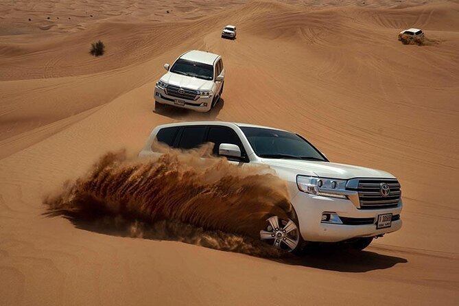 Evening Desert Safari & BBQ With Live Shows,Camel Ride,Falcon pic - Lahbab desert: the camel ride, dune bashing, sandboarding combo
