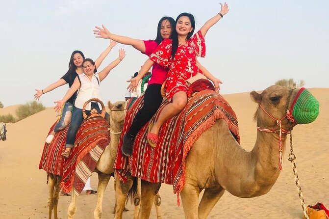 Evening Desert Safari Camel Ride Dinner Live Shows in Abu Dhabi - Should you book this evening desert safari in Abu Dhabi?