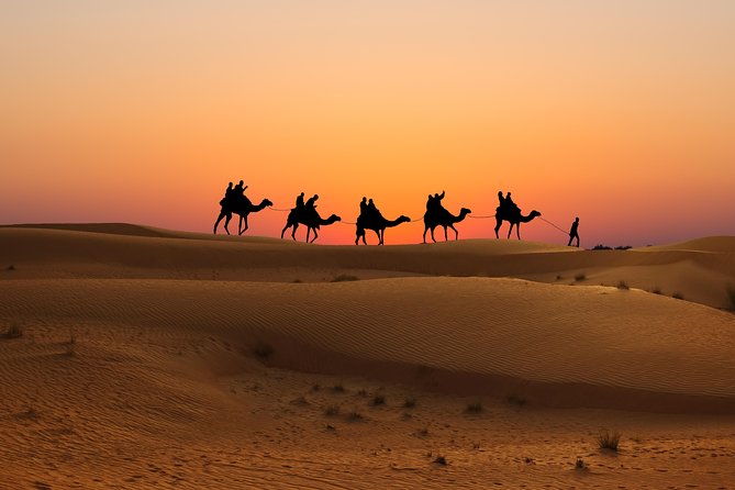 Evening Desert Safari in Dubai, Sandboard & BBQ Dinner - Sandboarding that actually gives you reps