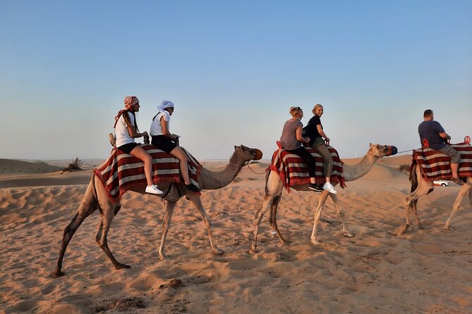 Evening Desert Safari in Dubai with Dune Bashing , Camel Ride and BBQ Dinner - Camel Farm Stop: More Than a Photo Op