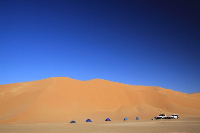 Evening Desert Safari with Belly Dance and BBQ Dinner and Camel Ride - Dune bashing with a pro driver, what it feels like and how to prep