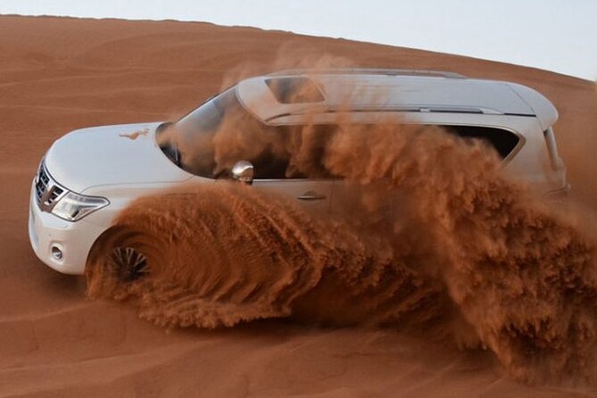 Evening desert safari with camel ride and BBQ dinner - Quick take: what matters most