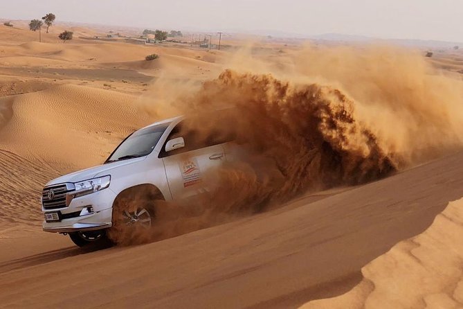 Evening Dubai Safari with BBQ, Dance Shows & Quad Biking optional - Sandboarding, Camel Rides, and the Desert Pace Shift