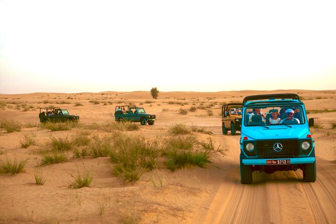 Evening Heritage Safari by Vintage G-Class at Al Marmoom Oasis - Key things to know before you go