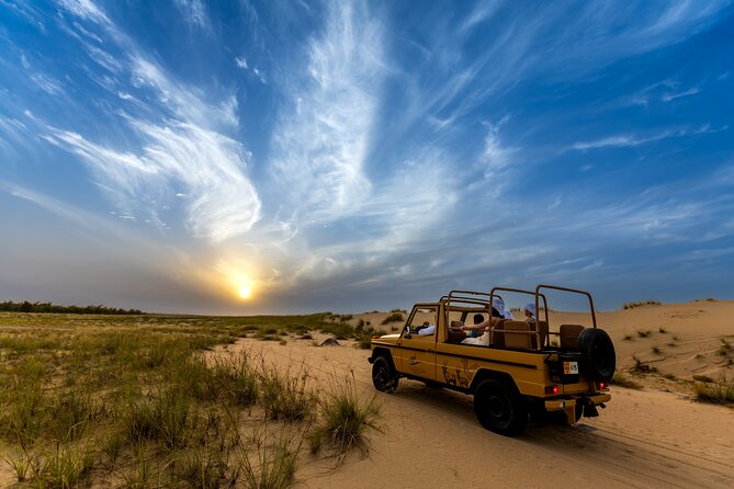 Evening Heritage Safari by Vintage G-Class at Al Marmoom Oasis - Dubai Desert Conservation Reserve: Al Ghaf trees and real desert species spotting