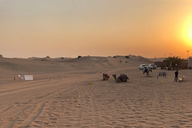 Exhilarating Desert Safari, Including BBQ Dinner from Dubai - BBQ buffet dinner plus belly dance, fire show, and tanoura
