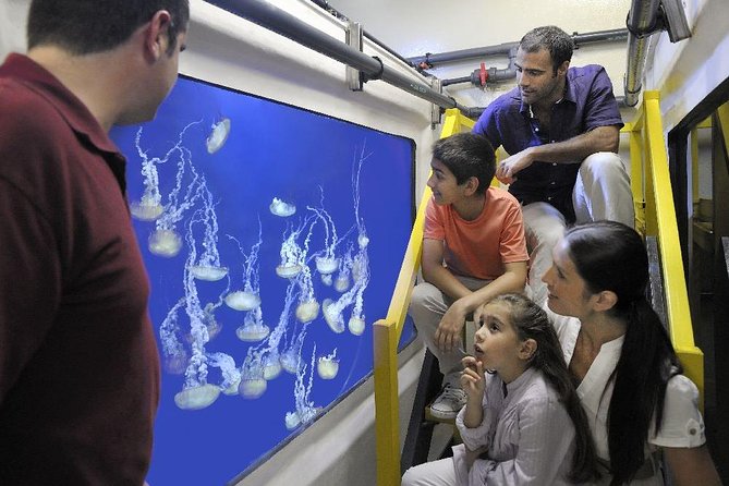 Fish Tales Lost Chambers Tour - The 1-hour plan inside Lost Chambers Aquarium