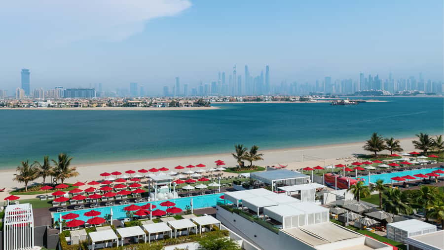 Fluid & Flavour: ENVY Lunch, Wine & Fluid Pool Club Pass - ENVY at Th8 Palm, what you’re actually paying for