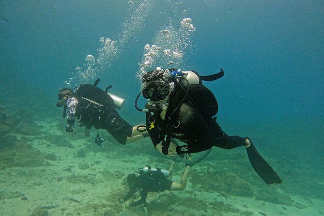 From Abu Dhabi: 2 Dives for Certified Divers in Fujairah - Key things that make this day trip work