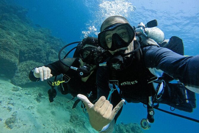 From Abu Dhabi: 2 Dives for Certified Divers in Fujairah - From Abu Dhabi at 6:00 am, and why that timing matters