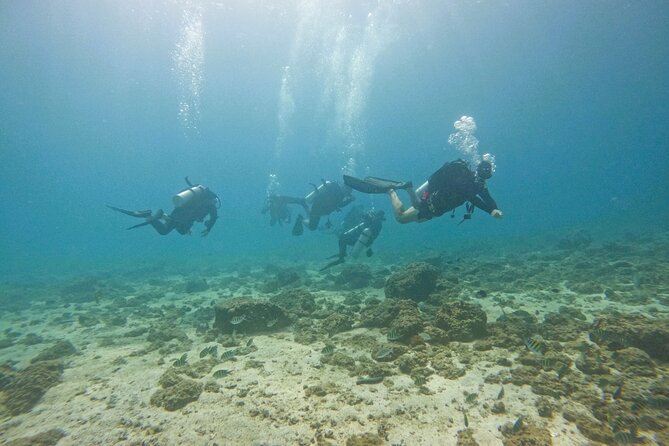 From Abu Dhabi: 2 Dives for Certified Divers in Fujairah - Two boat underwater sessions in Fujairah: what you’re really buying