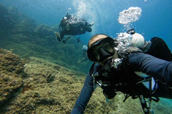 From Abu Dhabi: 2 Dives for Certified Divers in Fujairah - Picking the right scuba experience: certified only, and that’s a good thing
