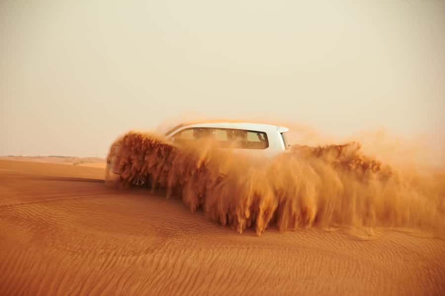 From Abu Dhabi: 4-Hour Morning Desert Excursion - Key things you’ll want to know upfront