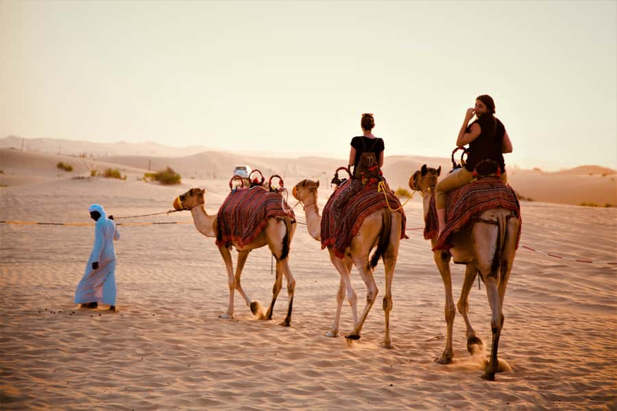From Abu Dhabi: 4-Hour Morning Desert Excursion - Why the morning desert safari from Abu Dhabi feels different