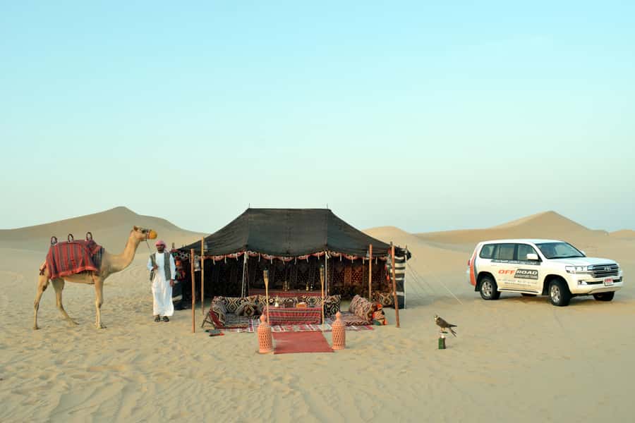 From Abu Dhabi: 4-Hour Morning Desert Excursion - 4x4 dune bashing: the adrenaline window and how to handle it