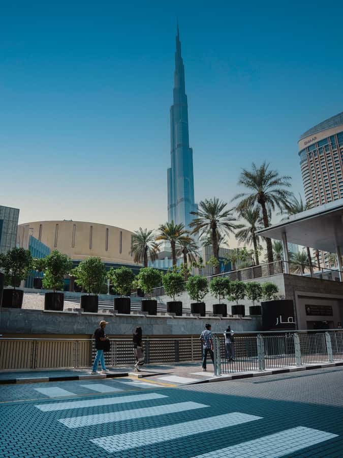 From Abu Dhabi: Dubai Full-Day Sightseeing Tour - Who should book this day trip, and who might not love it